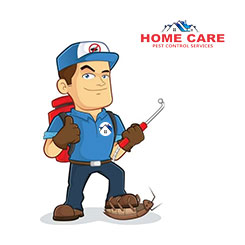 Service Images